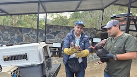 Incendios en Cundinamarca dejan 1.512 hectáreas quemadas y 11 animales muertos.