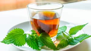 Esta infusión en benéfica para bajar de peso y controlar los azúcares. Foto: Getty Images.