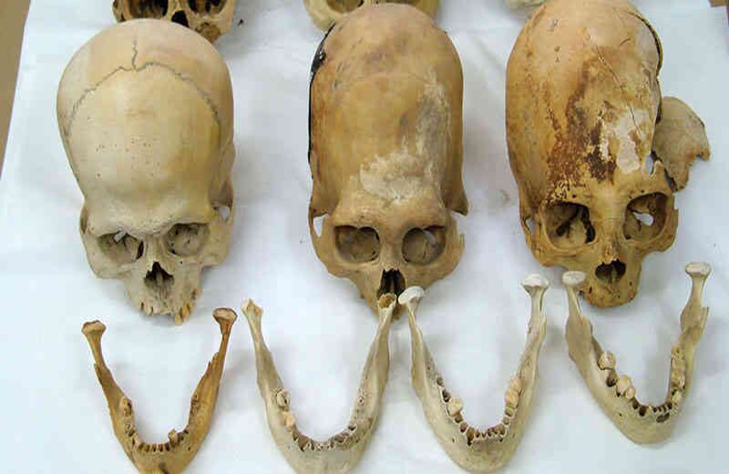 El Ministerio de Cultura de Perú encontró los restos arqueológicos de una comunidad limeña en una encomienda que tenía como destino Canadá.