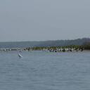 Posible desbordamiento del rio Magdalena por altos niveles