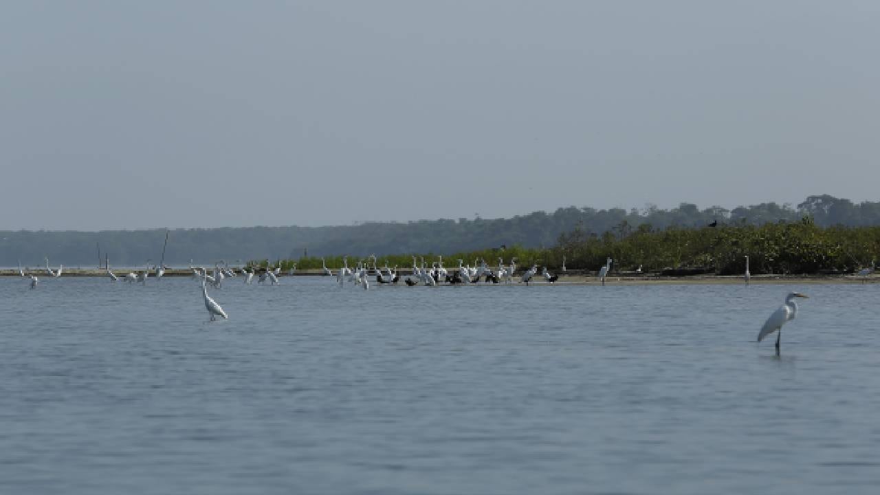 Menor de edad cayó del puente férreo de Girardot.