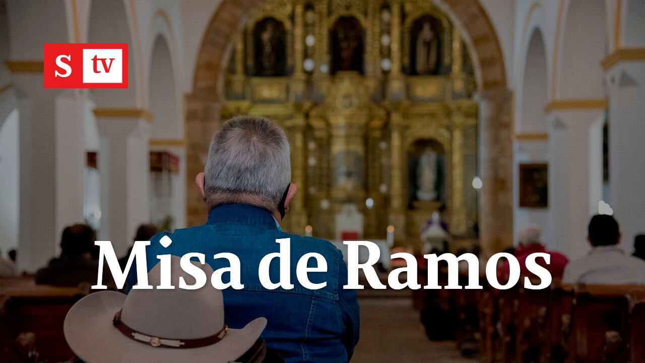 En vivo: Domingo de Ramos desde la Catedral de Pamplona