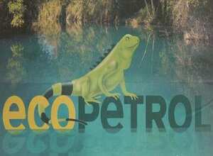 En promedio los analistas piensan que el precio justo de la acción de Ecopetrol es cercano a los $3.800 y que tiene un potencial de valorización al final del año de $4.500.