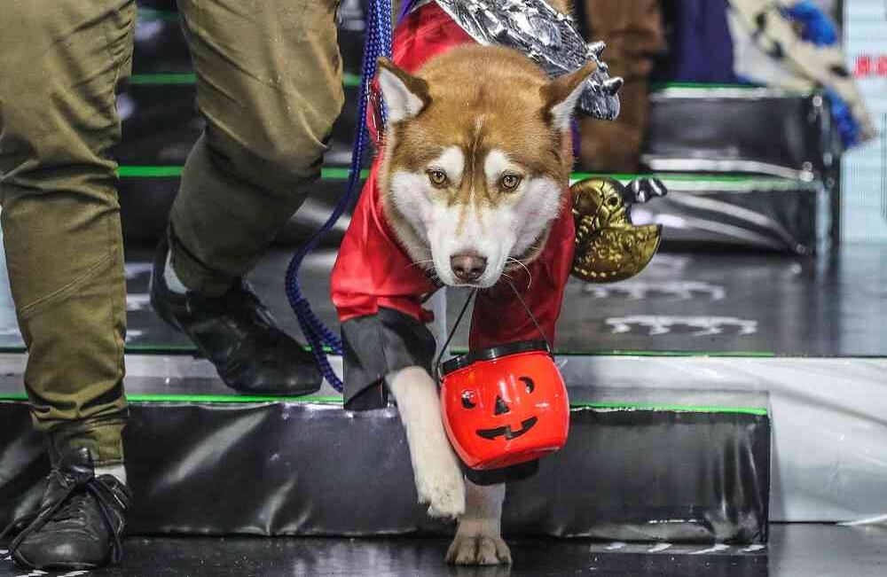 Foto: Carlos Julio Martínez / SEMANA