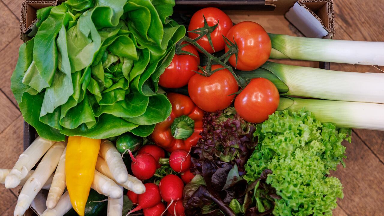Incluir verduras es esencial para mantener una buena salud. Photo: Daniel Karmann/dpa (Photo by Daniel Karmann/picture alliance via Getty Images)