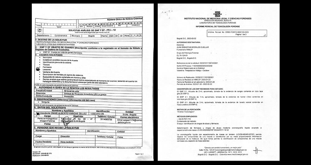 Documento presentado en medio del caso del ciudadano estadounidense, John Poulos.
