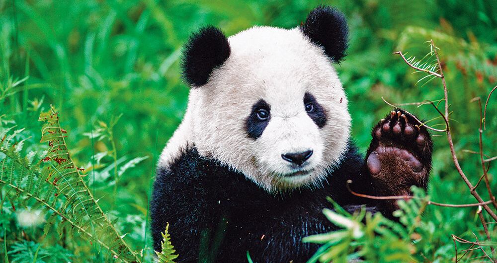 El mundo necesitala COP16 _6