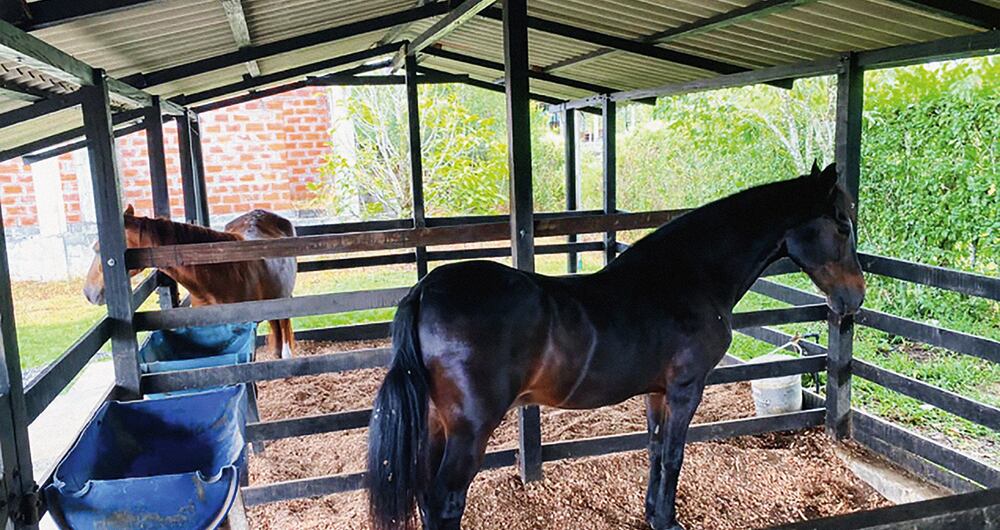 Alias Messi, el goleador de la narcopolítica en Urabá_17