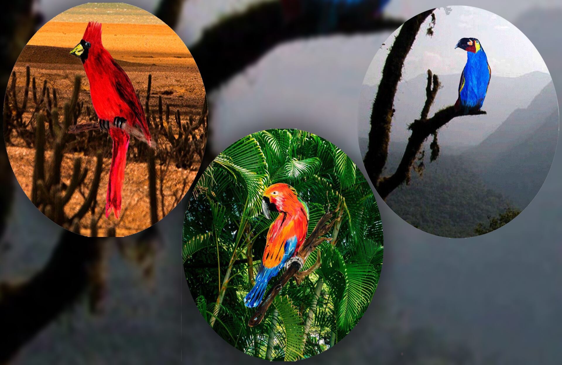 Laura Hernández Espinosa