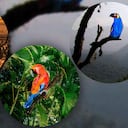 Laura Hernández Espinosa