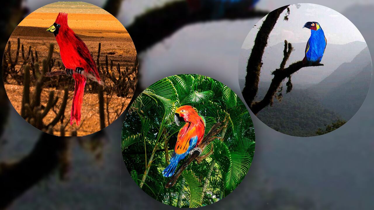 Nueve especies de aves fueron la inspiración para el lanzamiento de esta innovadora carta de cócteles.