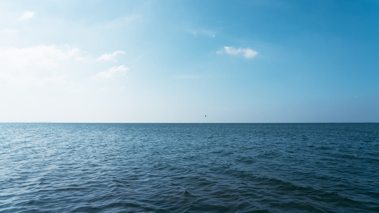El agua del mar tiene unas características especiales que hacen que sea salada.