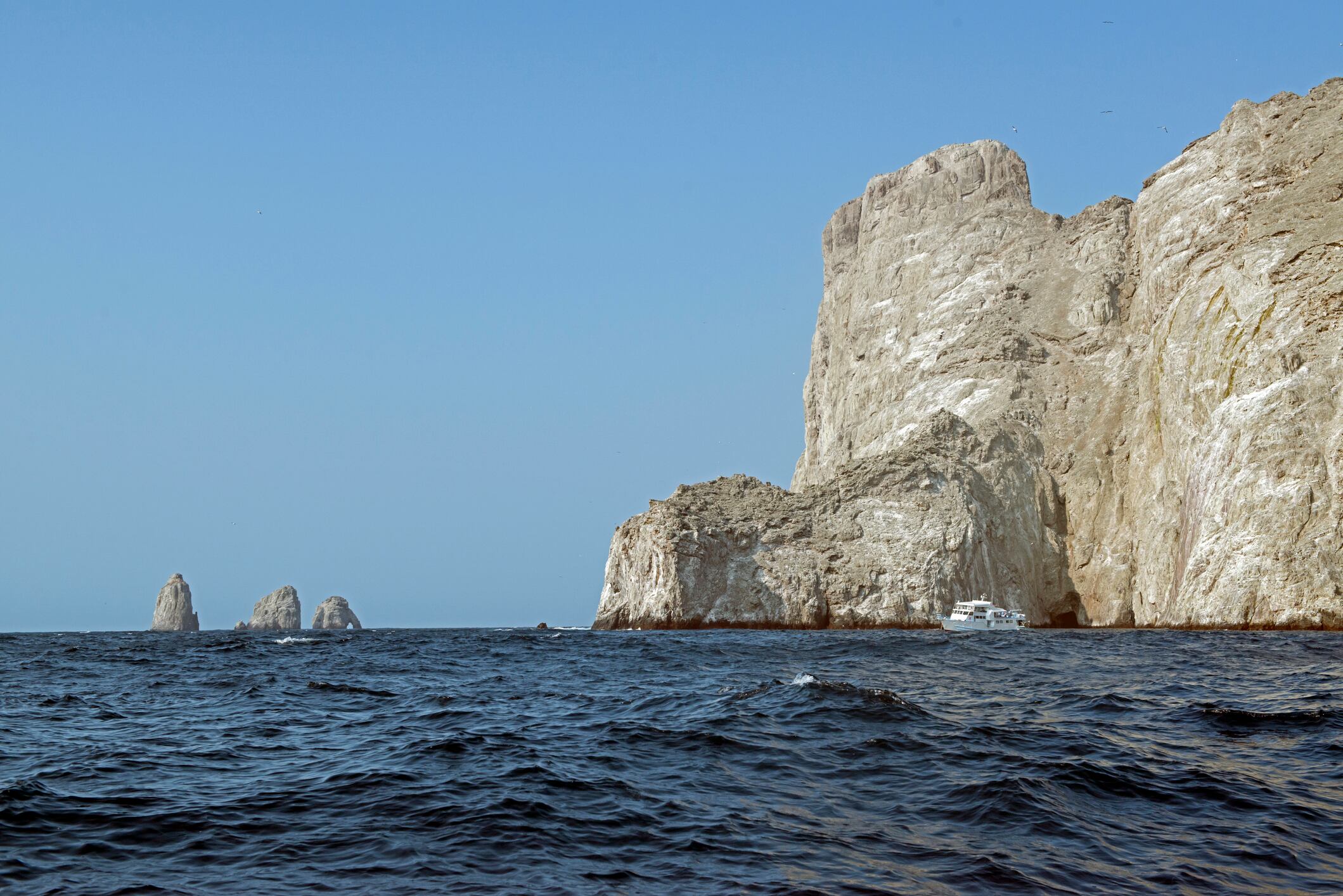 Isla de Malpelo