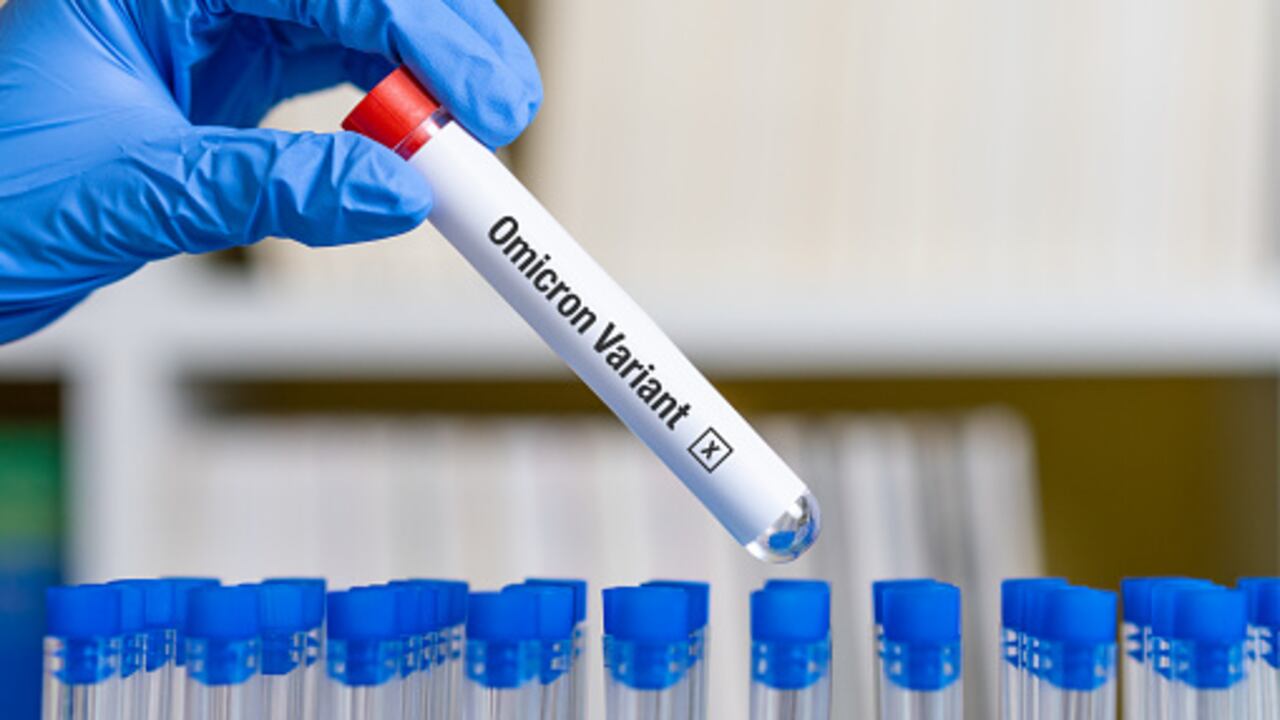 Es una nueva cepa que ya ha llegado a Japón, India, Arabia Saudita, Nigeria, Brasil, entre otros países.