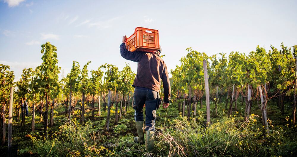 La jurisdicción agraria nació en cumplimiento de los compromisos adquiridos en el acuerdo de paz y fue incorporada a la Constitución en 2023.