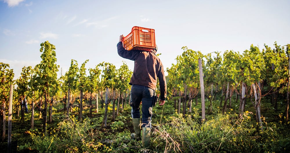 La jurisdicción agraria nació en cumplimiento de los compromisos adquiridos en el acuerdo de paz y fue incorporada a la Constitución en 2023.