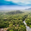 En el país se alzan cerca de 81 ecosistemas boscosos que están en riesgo