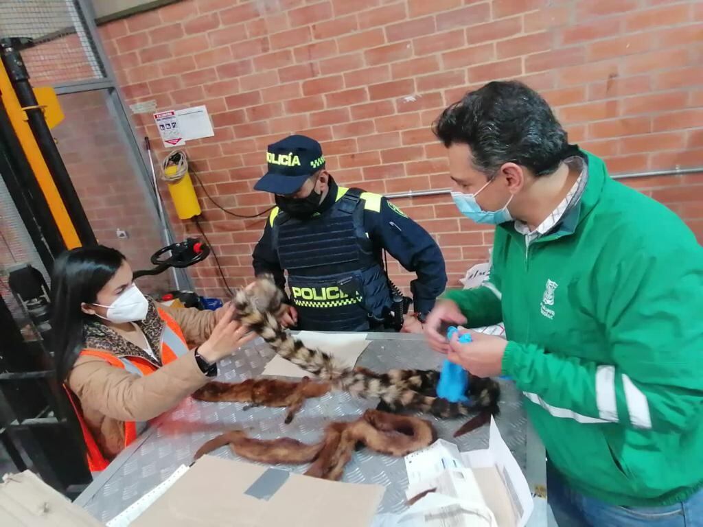 Pieles de mapaches y hurones