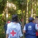 Liberados dos menores en Arauca que se encontraban en poder del ELN, desde el 24 de noviembre.