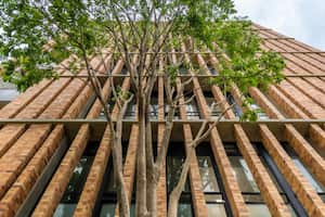 La Universidad Javeriana Cali lanza su Maestría en Hábitat Sustentable, uno de los temas de mayor relevancia hoy a nivel global.