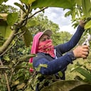 NO USAR, USO EXCLUSIVO MEJOR COLMBIA, Especial seguros, Microseguros