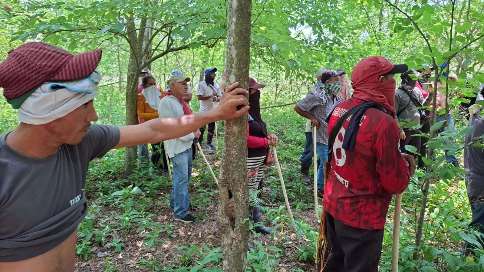 Un grupo de aproximadamente 80 personas invadió una finca en Codazzi, Cesar.