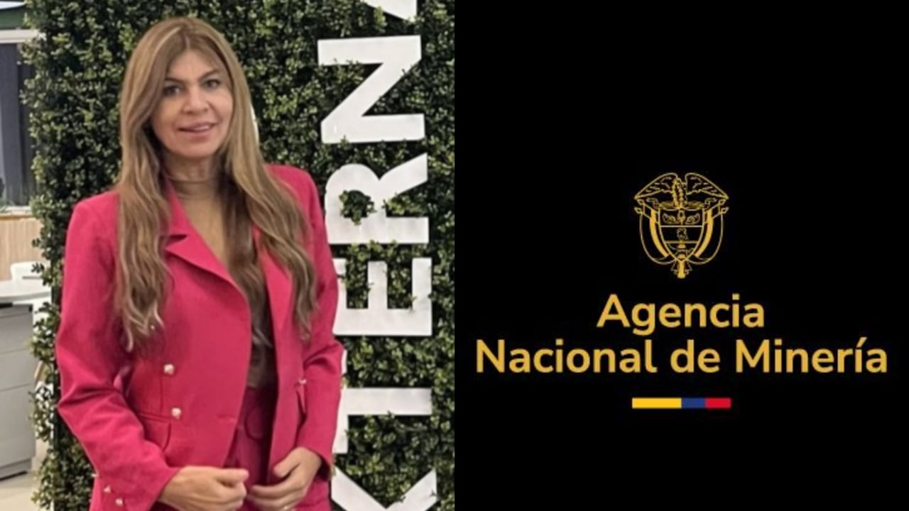 Dora Elena Balvín fue secretaria de Minas de la Gobernación de Antioquia, durante la administración de Luis Pérez.