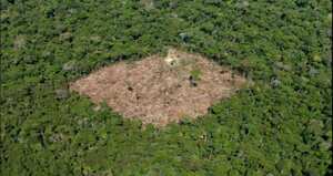 La deforestación es una de las actividades que más ha influido para el incremento de las emisiones de gases de efecto invernadero en Colombia. Foto: archivo/Semana.