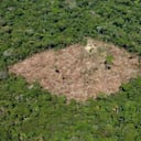 La deforestación es una de las actividades que más ha influido para el incremento de las emisiones de gases de efecto invernadero en Colombia. Foto: archivo/Semana.