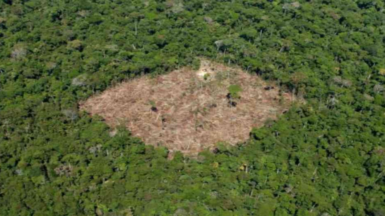 La deforestación es una de las actividades que más ha influido para el incremento de las emisiones de gases de efecto invernadero en Colombia. Foto: archivo/Semana.