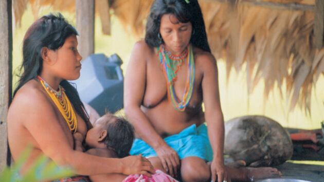 En 30 años la comunidad indígena embera modificó su lengua. Hoy hablan lo que ellos denominan 'emberañol'.