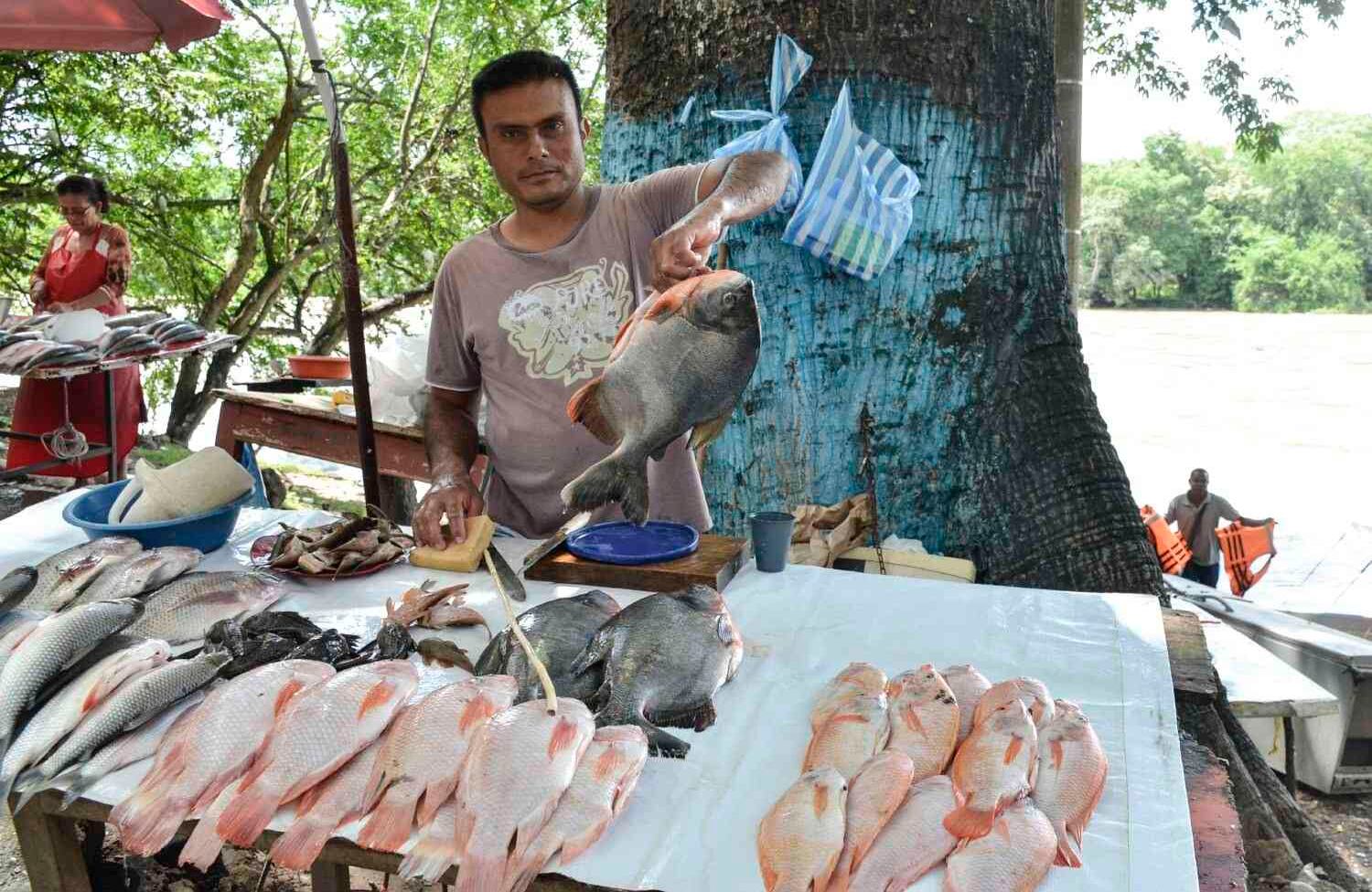 Neiva es la primera ciudad capital que atraviesa el rio Magdalena. Allí los opitas ofrecen lo mejor de la piscicultura, labor que convierte al departamento en el mayor productor de tilapia en el país. foto: Diana Rey Melo