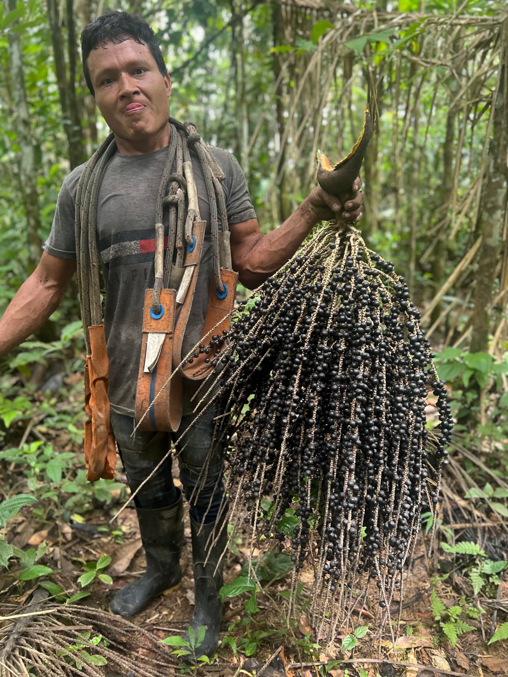 Con sus cuatro plantas en Nariño, Cauca y Putumayo Corpocampo ayuda a unas 1200 familias indígenas y afro.