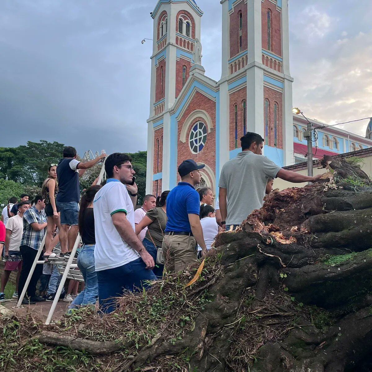 Las autoridades despejaron el sitio para retirar los troncos