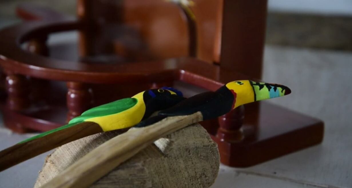 Proyecto Manos Libres Foto: Prensa Alcaldía de Barranquilla