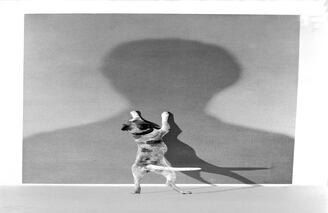 Fidélité (Fidelidad) Gilbert Garcin es uno de los artistas más destacados en el campo del arte contemporáneo, sus fotografías son montajes surrealistas, llenos de imaginación, que remiten a la mitología y la historia del arte. 