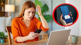 Este sistema notifica al usuario cuando detecta vínculos extraños o comportamientos irregulares en mensajes.