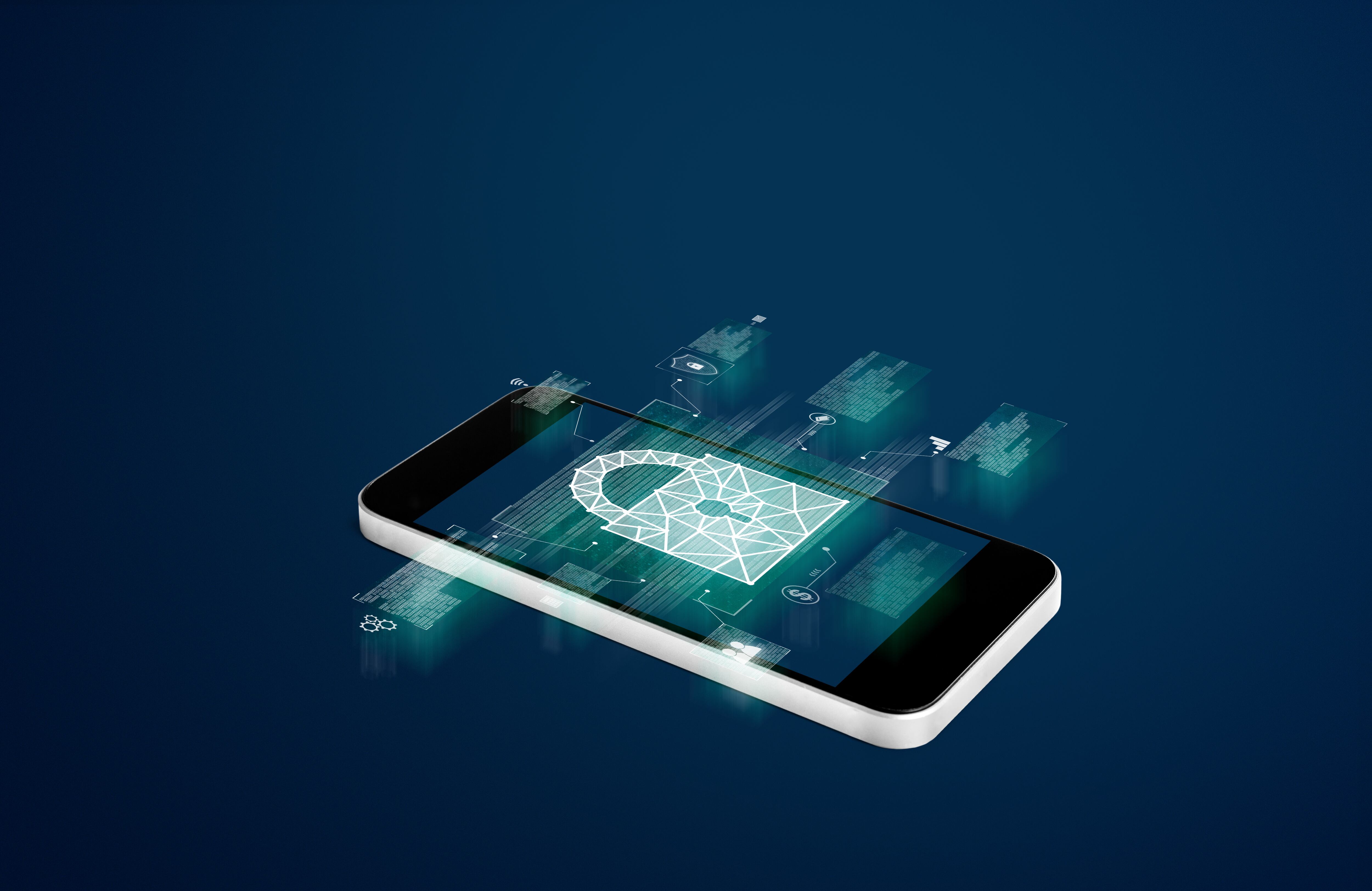 Los métodos de protección varían según las necesidades de cada usuario.