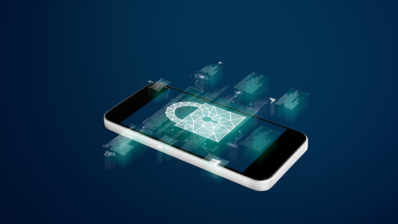 Los métodos de protección varían según las necesidades de cada usuario.