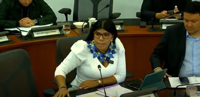 Ana Rogelia Monsalve, congresista citante a debate de control político sobre gas, en la comisión V.