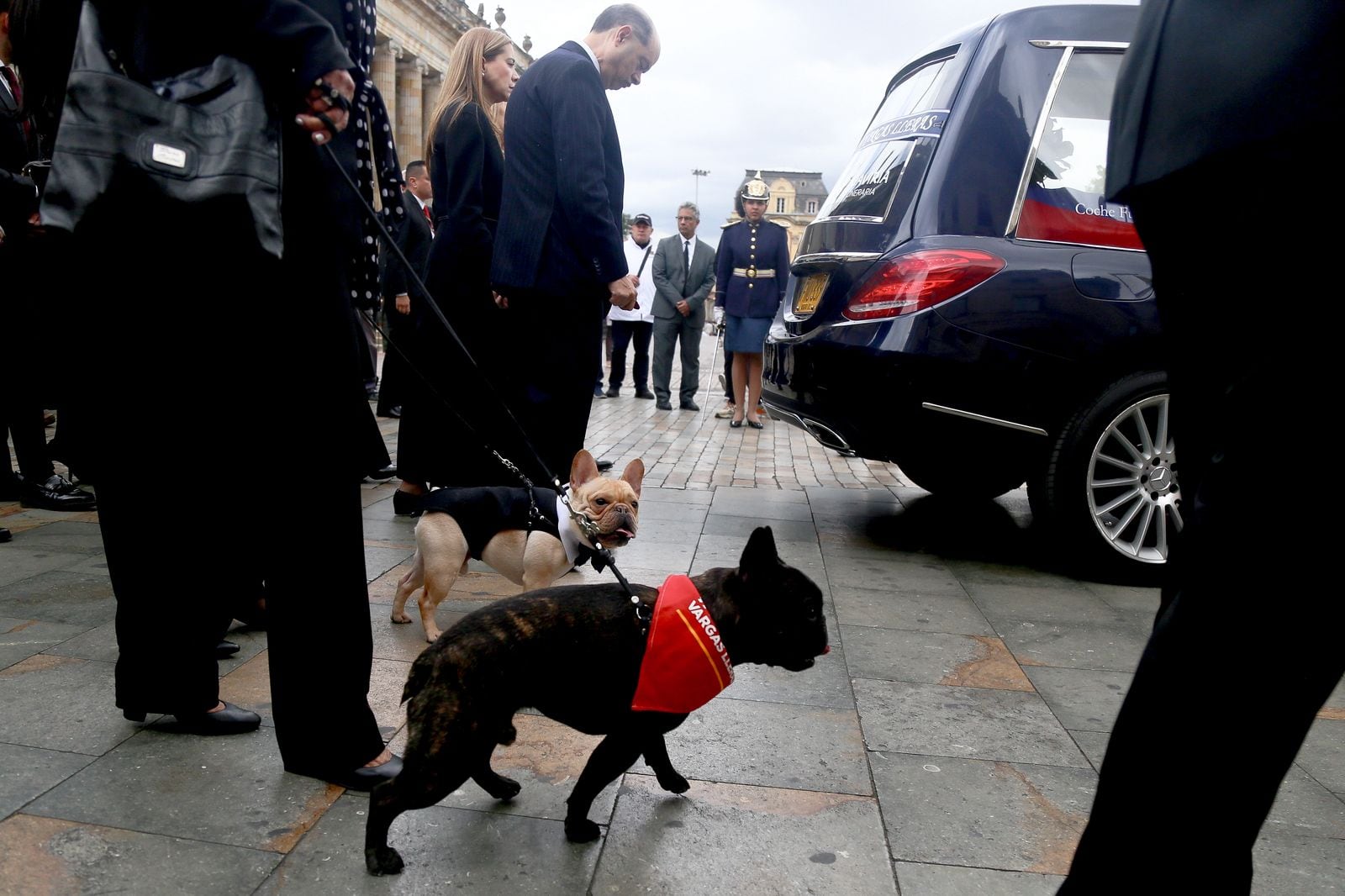 Los perros que acompañaron a Germán Vargas LLeras