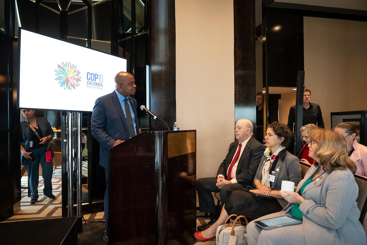 Canciller Luis Gilberto Murillo.