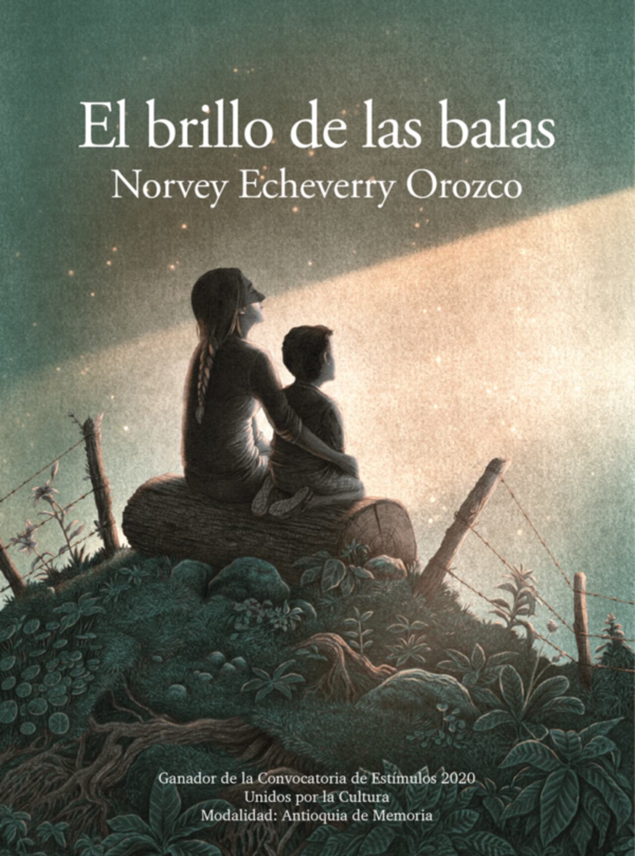 El brillo de las balas
Norvey Echeverry Orozco