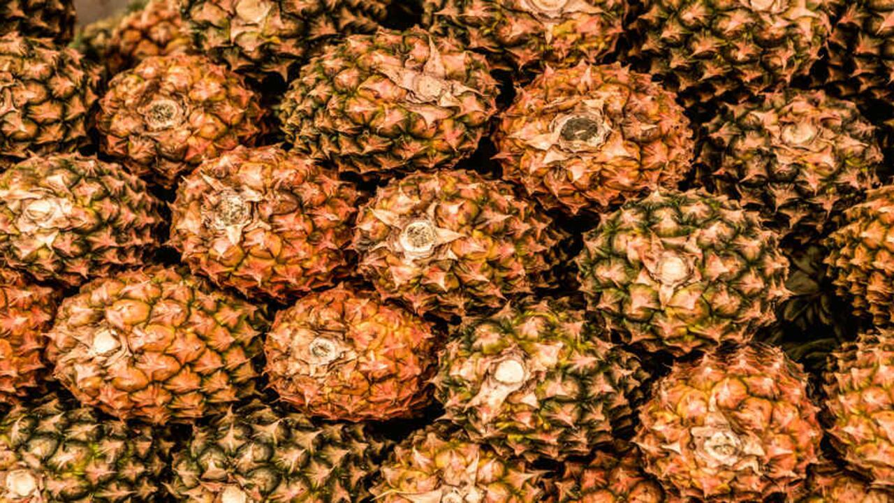 La piña: uno de los productos nacionales más apetecidos en el exterior.