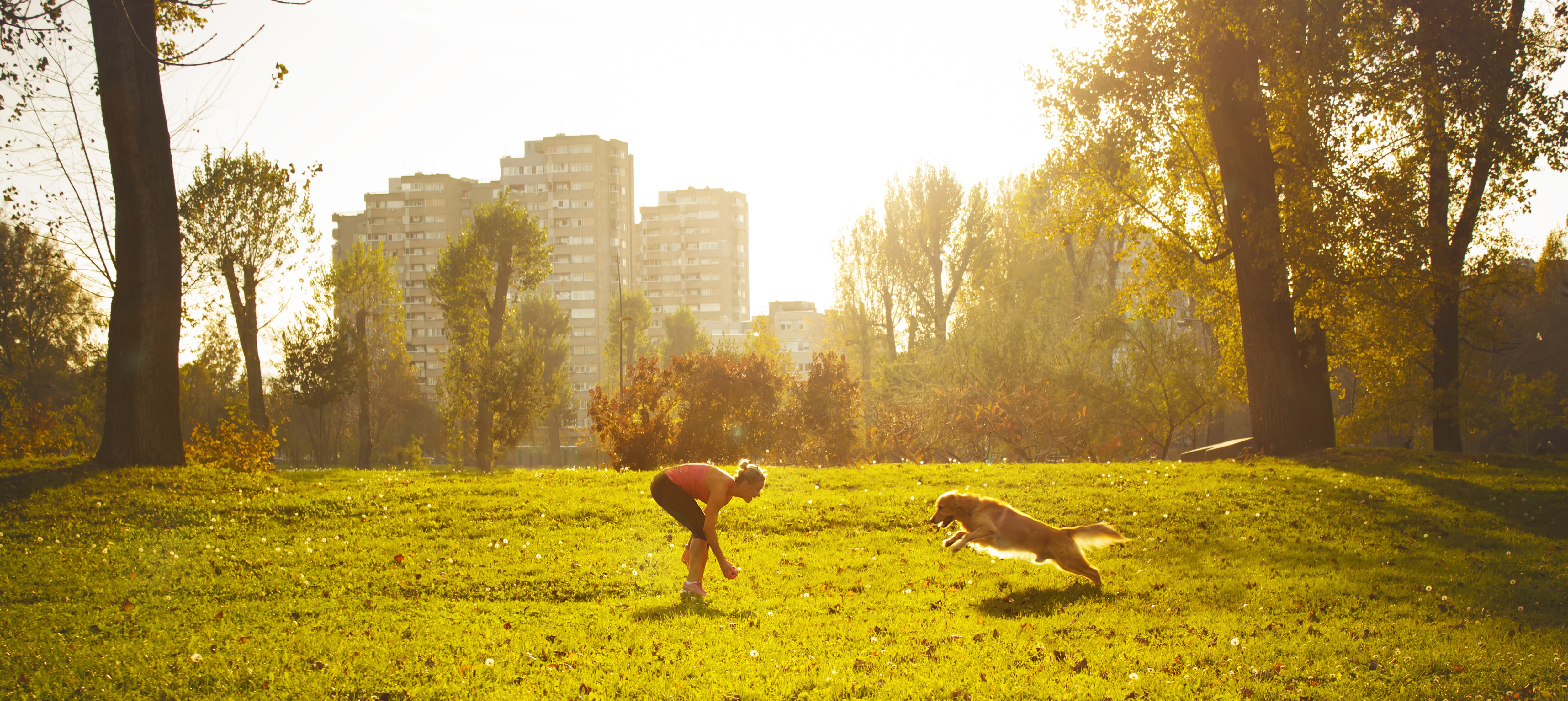 Conozca los parques en donde su mascota será la protagonista