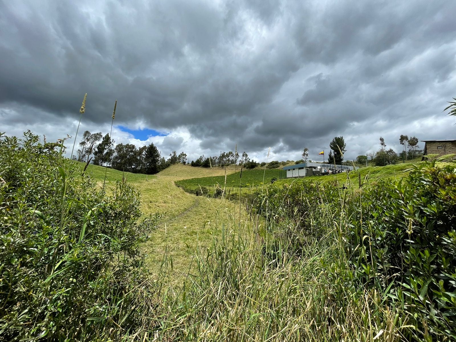 Frontera Colombo Ecuatoriana