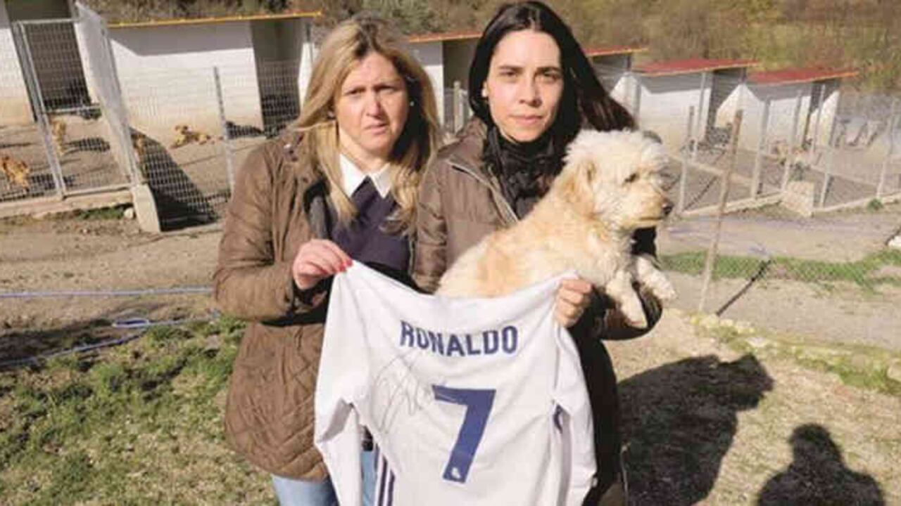 Foto: Correio da Manhã