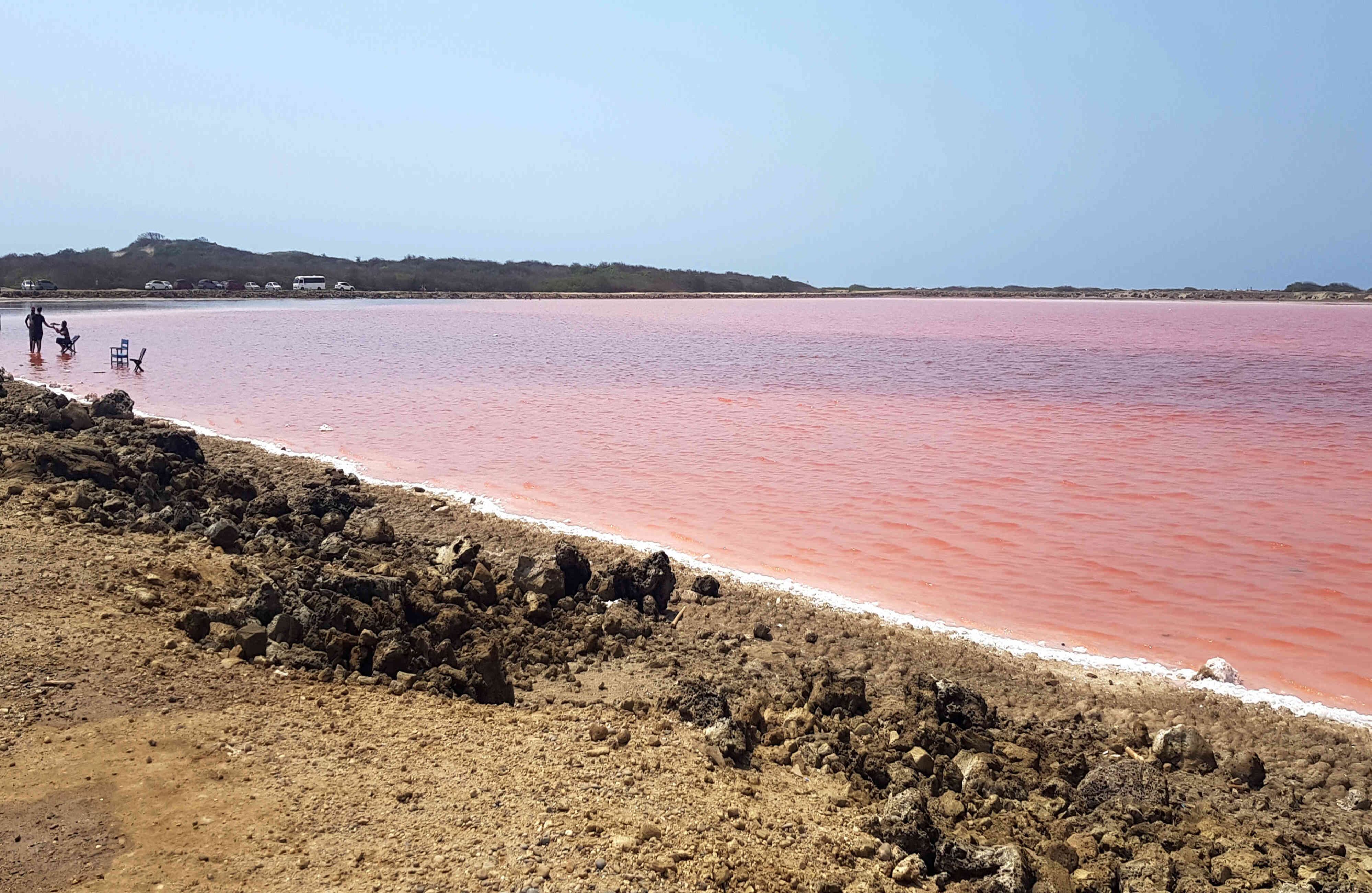 El proyecto comunitario plantea extraer un estimado de 25.000 a 30.000 toneladas por año. La capacidad actual es de 16.000 toneladas, pero como llevaba más de dos años sin sacarse y gracias al verano que vive el Caribe colombiano desde noviembre, la meta es plausible, según Guillermo Meléndez, promotor de la iniciativa.