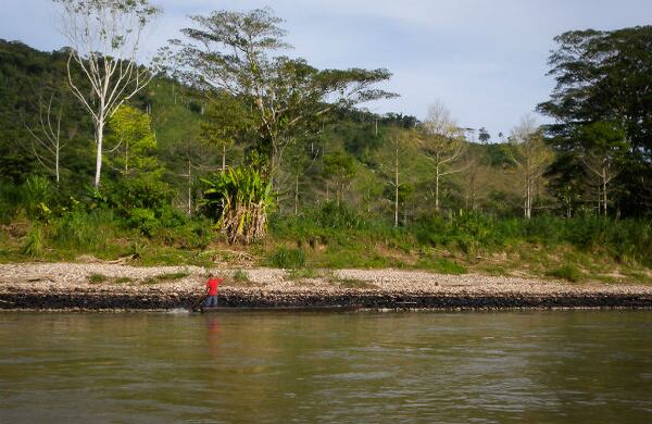 Mudos testigos del número de atentados contra el oleoducto son las orillas del río Catatumbo, manchadas de petróleo derramado a lo largo de muchos kilómetros.