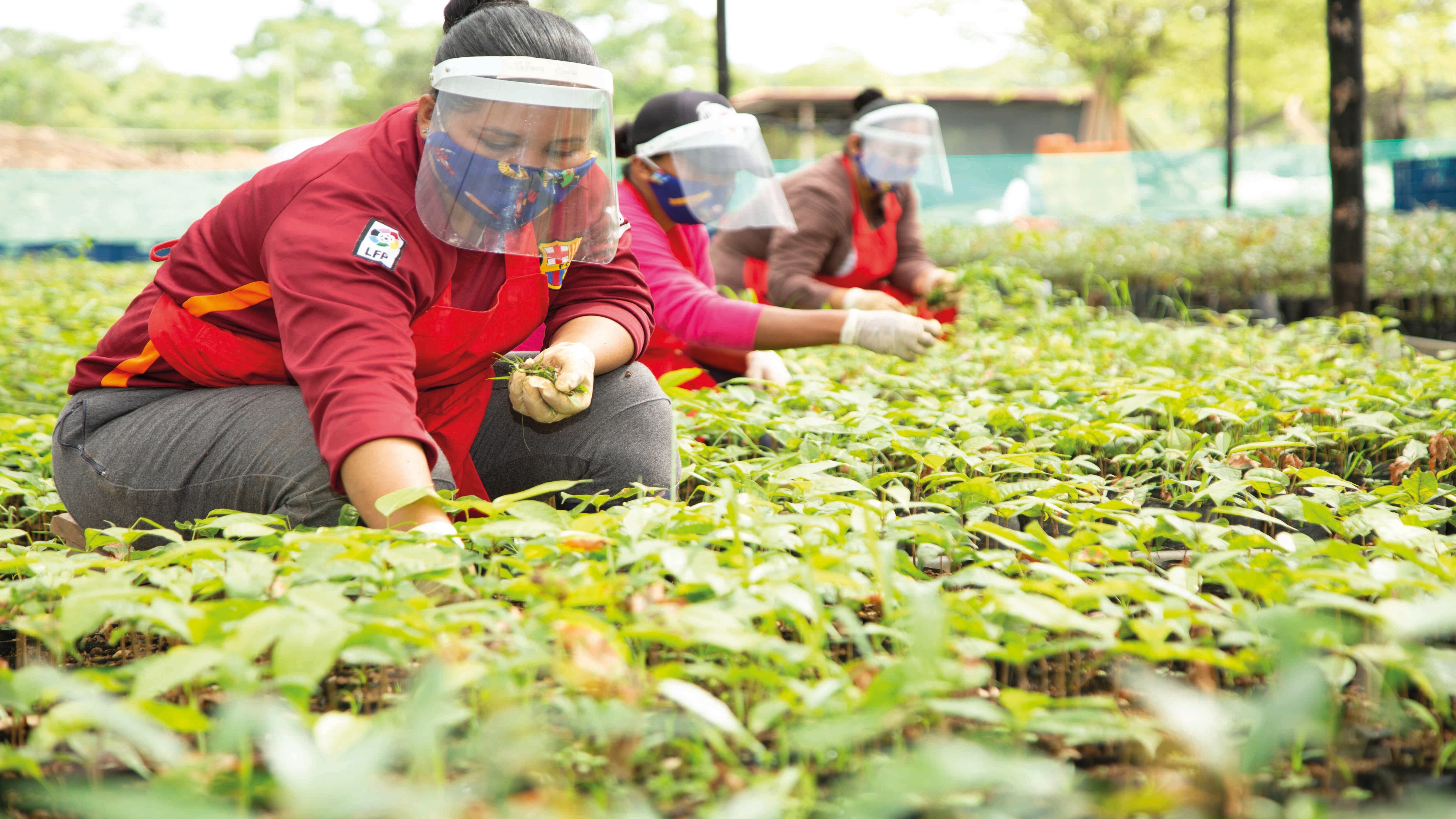 ©Luis Alejandro Hernandez/Conservación Internacional.